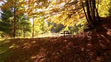 秋山林野餐桌.. 享受宁静的坐姿.. 宁静的自然之地，风景之景.. 黄金奖